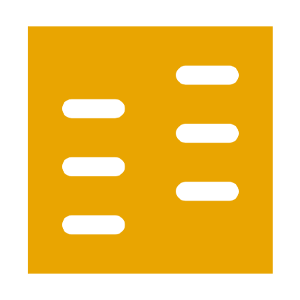 Gel Electrophoresis